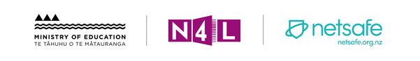 Email Header - N4L Branding.jpg